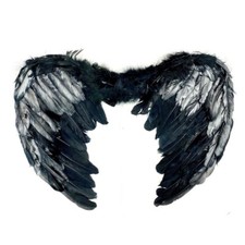 Black Feather Large Wings