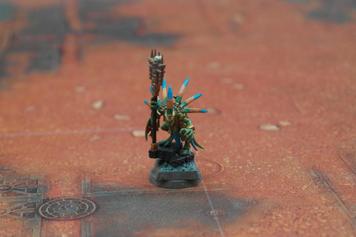 Pre loved skink starpriest - pre-loved,