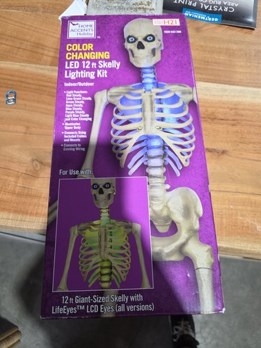 New halloween skeleton - halloween, ft