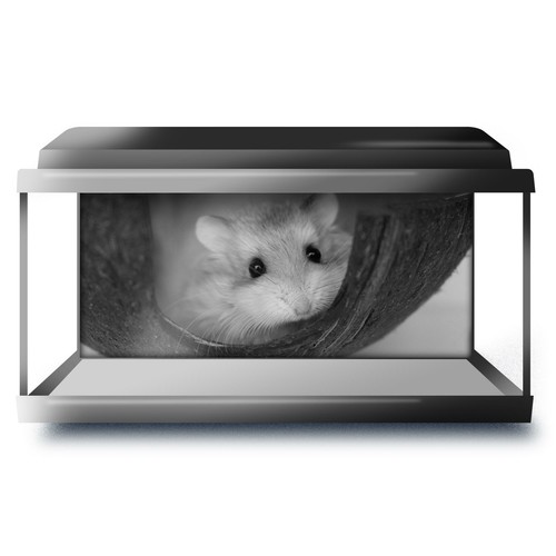 Fish tank background 90x45cm - tank,
