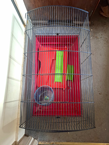 Large hamster wire - cage,, red