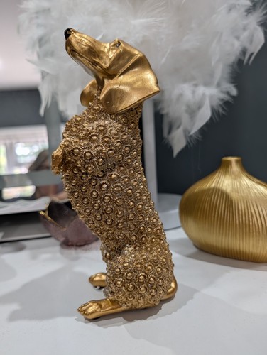 Beautiful gold dog - gold,