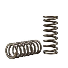 EBC Clutch Spring Set (2 PCS)