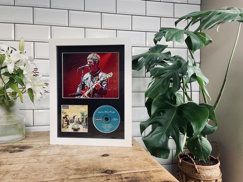 Noel gallagher definitely - noel, /definitely