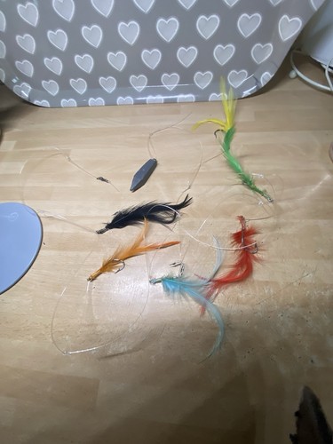 Old fishing tackle - old,