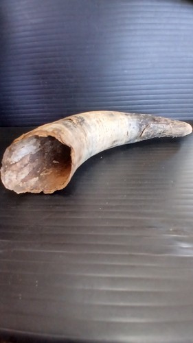 Genuine cow horn - genuine, ,