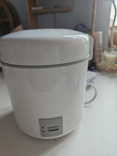 Mini rice cooker - rice,