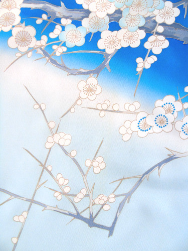 Ayane ume plum blossoms in - blossoms,