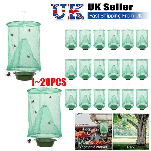 Lot fly trap ranch - fly, catcher