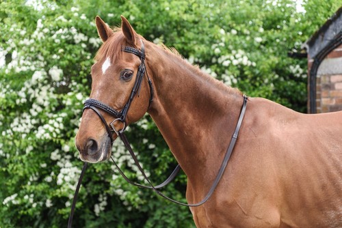 Horse leather bridle snaffle - leather,