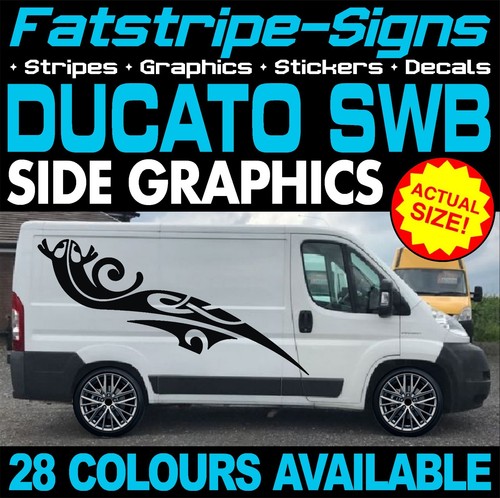 Fits fiat ducato graphics - fits,