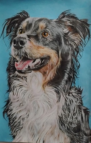 Collie dog original unique - dog,