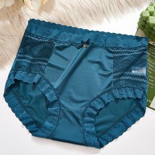 Womens Full Brief Lace Satin