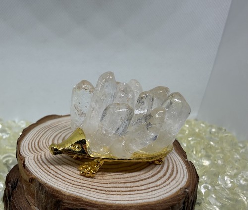 Hedgehog with clear quartz - with,