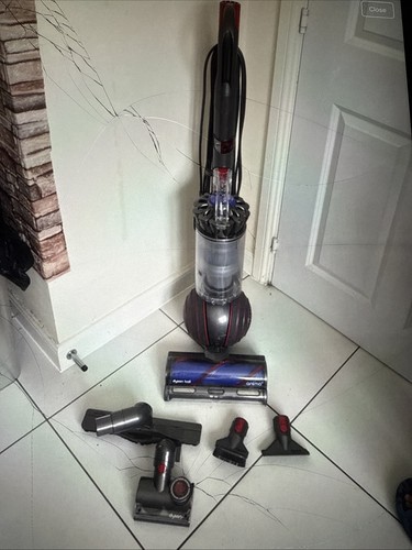 Dyson ball animal multi floor - animal, multi-floor