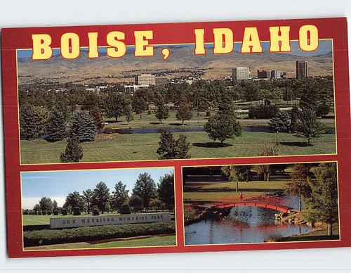 Postcard ann morrison park - morrison,