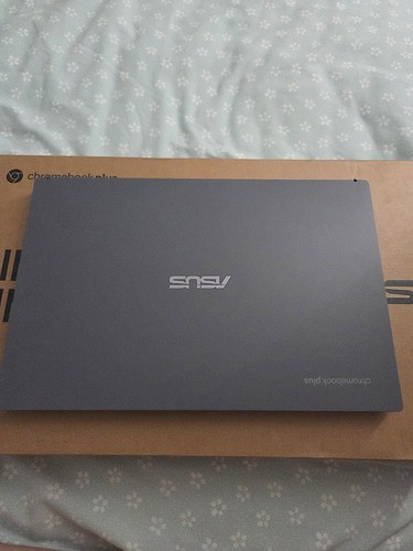 Asus chromebook plus cx3402cb - chromebook,