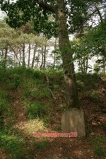 PHOTO  MEMORIAL STONE FOR T E