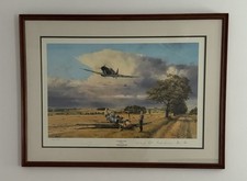 Robert Taylor “Summer