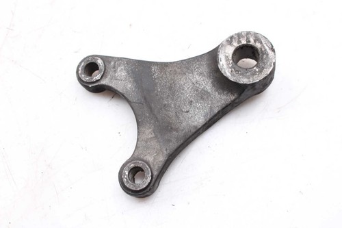 Rear brake caliper bracket - rear,