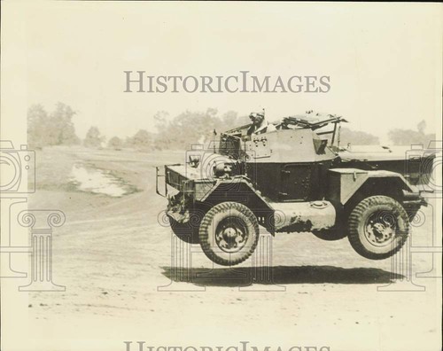 1943 press photo lynx - photo,