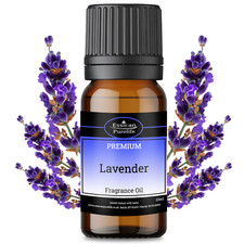 10ML-1000ML Fragrance Oil