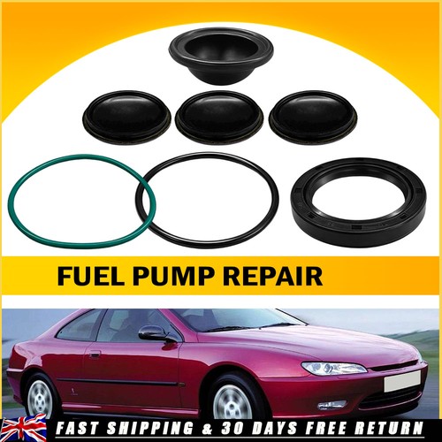 Fuel injection pump repair kit - pump,
