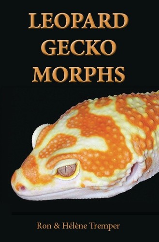 Leopard gecko morphs ron - morphs,