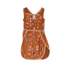 Disney Pocahontas Fancy Dress