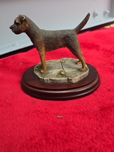 Best breed border - best, terrier.