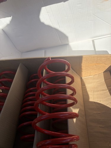 Eibach red line lowering - red,