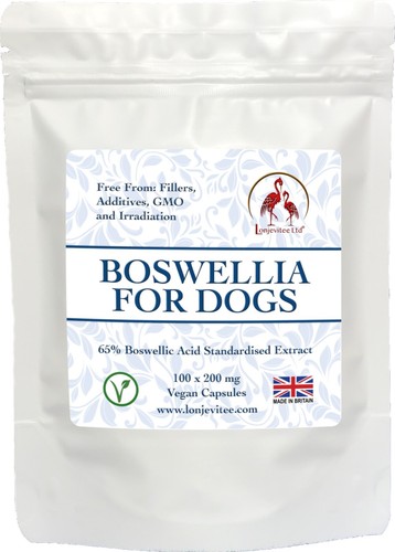 Boswellia for dogs 100 - 100, x