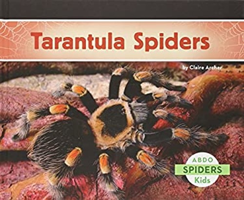 Tarantula spiders library - spiders,