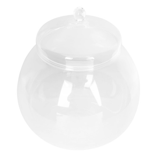Clear terrarium jar with - jar, lid