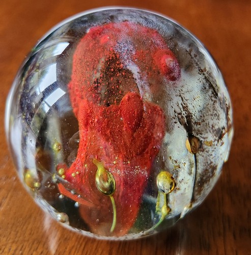 Isle wight studio glass - isle,