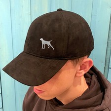 German Shorthaired Pointer