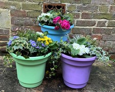 33cm Plastic Planter Flower