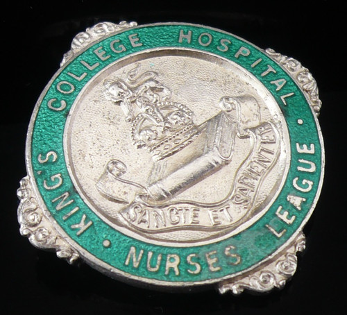 Sterling silver nurses badge - nurses,