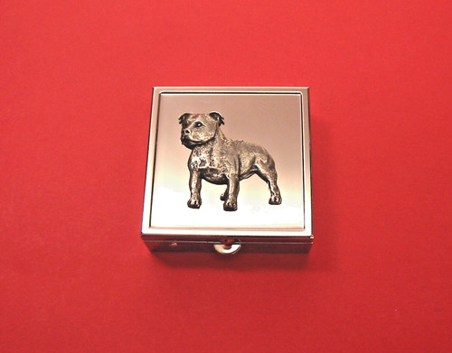 Staffordshire bull terrier - staffordshire,