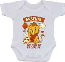 Arsenal Football Supporters