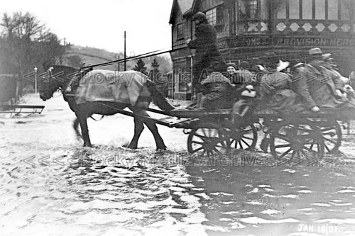 Nqq horse drawn cart - nqq-50, horse-drawn