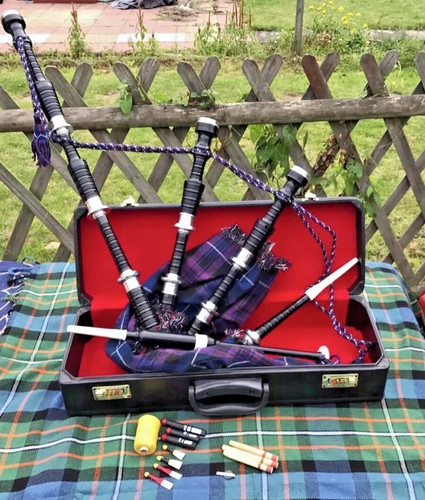 Black highland scottish - highland,