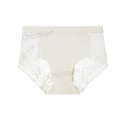 Sexy girl lace underwear - lace,