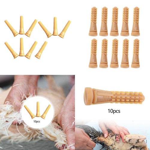 Pieces chicken plucker - 10,