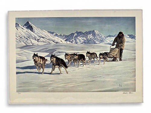 Charles gause alaska - husky, dog