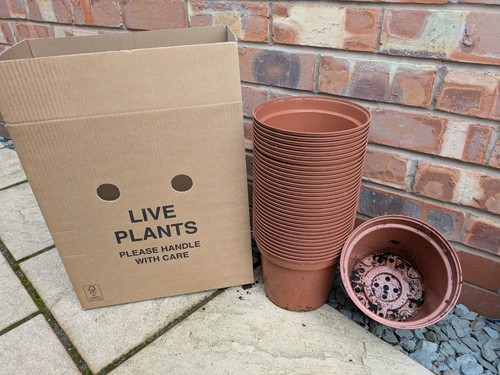 Plant pots used 4 - plant,
