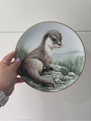 Winter orphan otter - -,