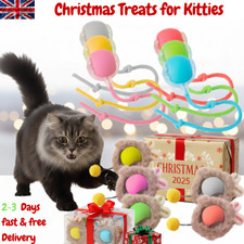 Auto Rolling Interactive Cat