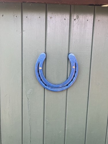 Horseshoe genuine new fix - horseshoe,