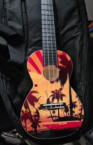 Brunswick hawaii concert - brunswick,